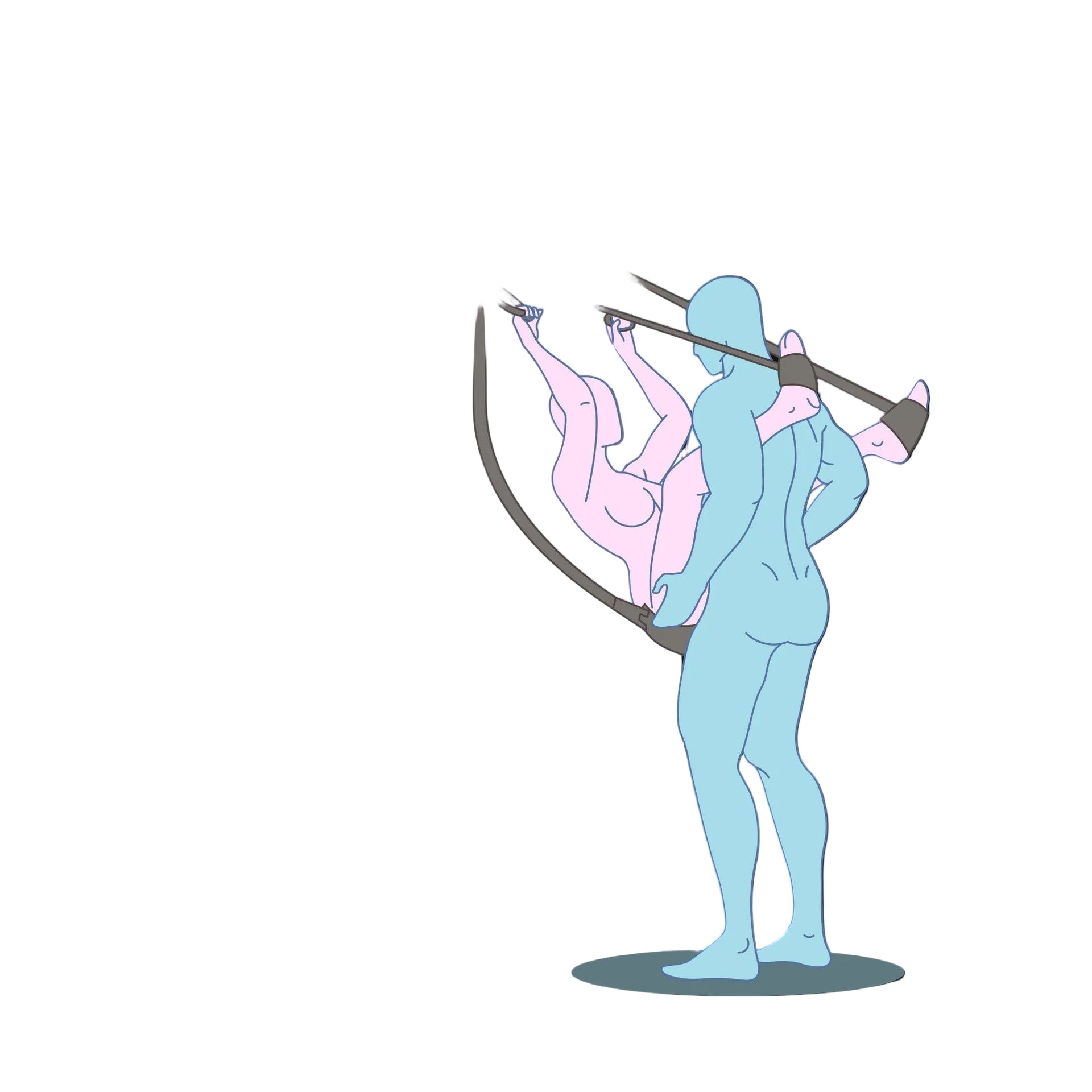 Deluxe Sex Door Swing
