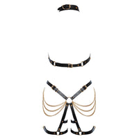 Harness Set