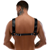 Harness