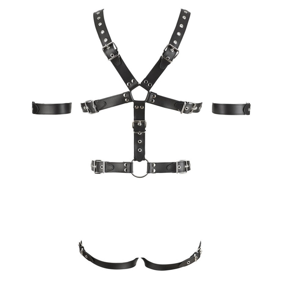 Harness