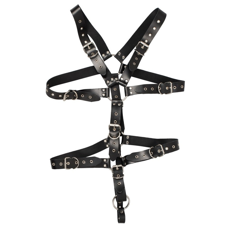 Harness S-L