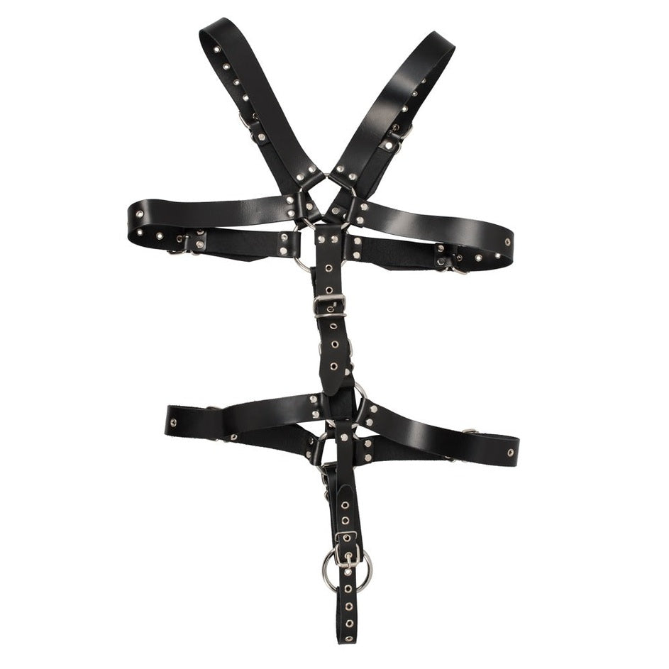 Harness S-L