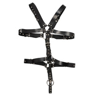 Harness S-L
