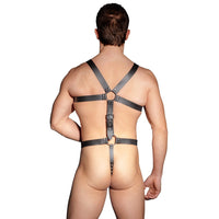 Harness S-L