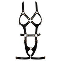 Harness