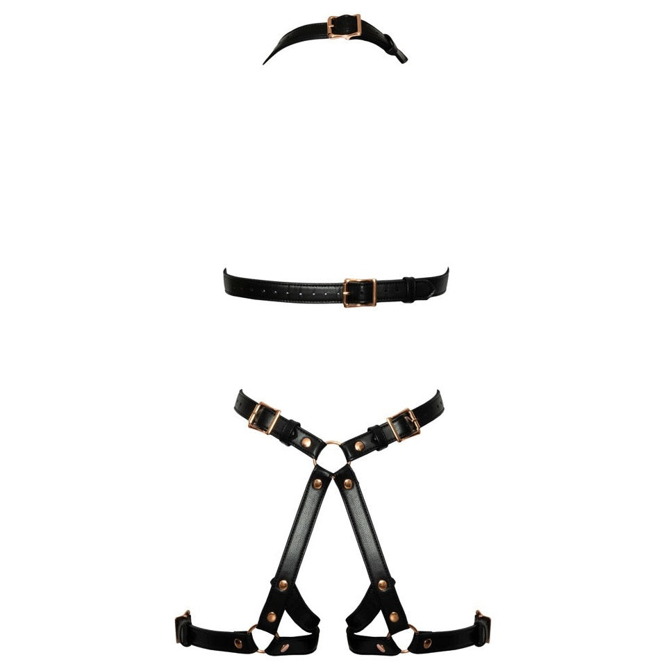 Harness