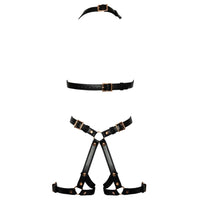 Harness