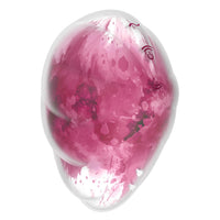 Cloud Dancer Red Print