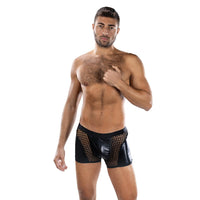 Sheer Contrast Boxer Briefs