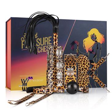 BDSM-setti