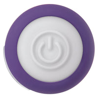 EVOLVED - Petite Purple Passion