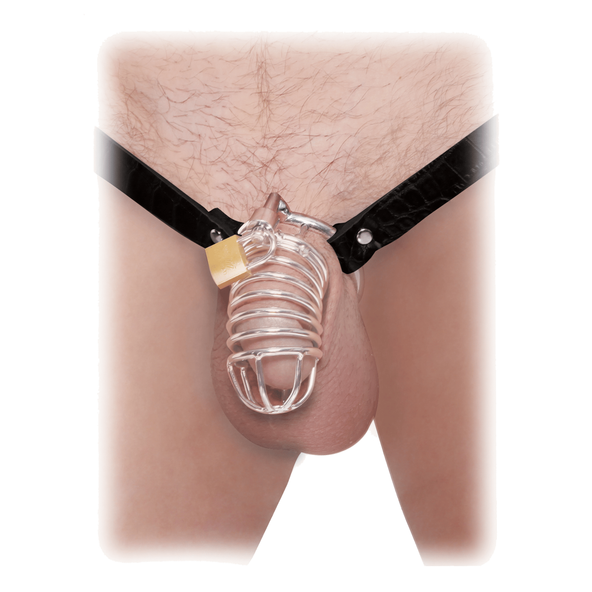 Extreme Chastity Belt Silver