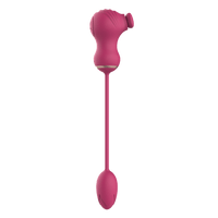 Vibraattorimuna klitoriskiihottimella