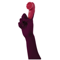 Rosegasm Playful Finger Vibe