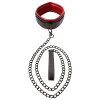 SAFFRON - talutin ja panta