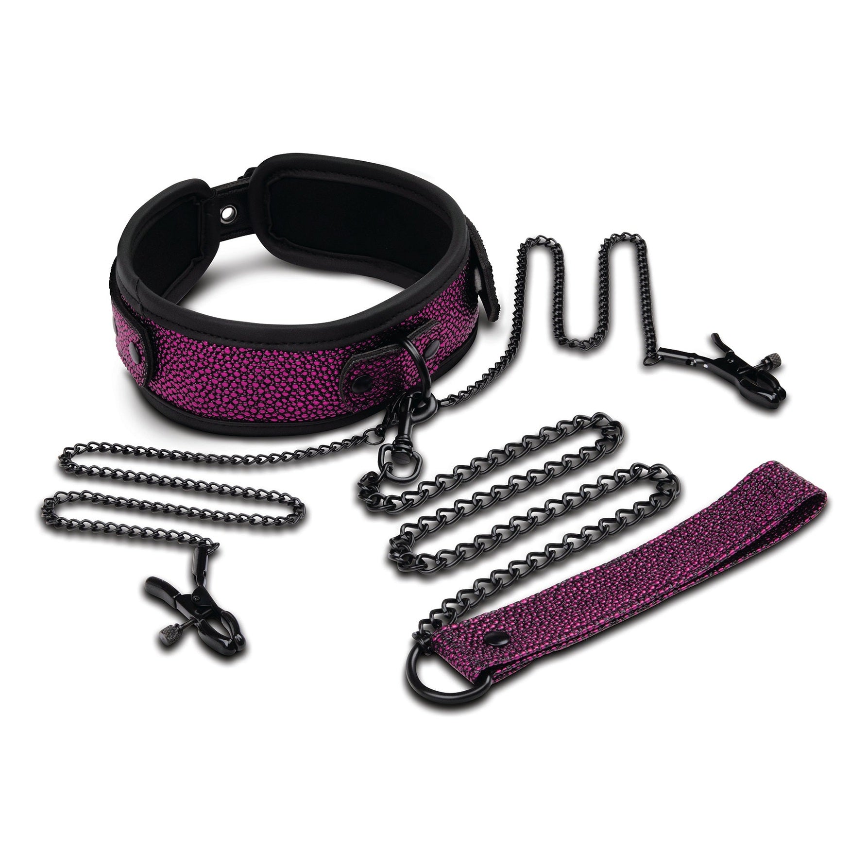 WHIPSMART - Panta-, talutushihna- ja nänniklipsit -setti